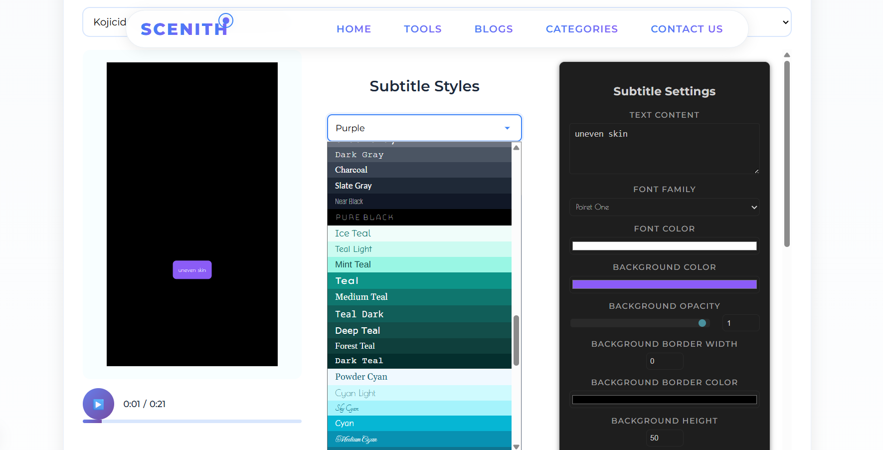 AI subtitle generator example showing subtitle editing and video preview