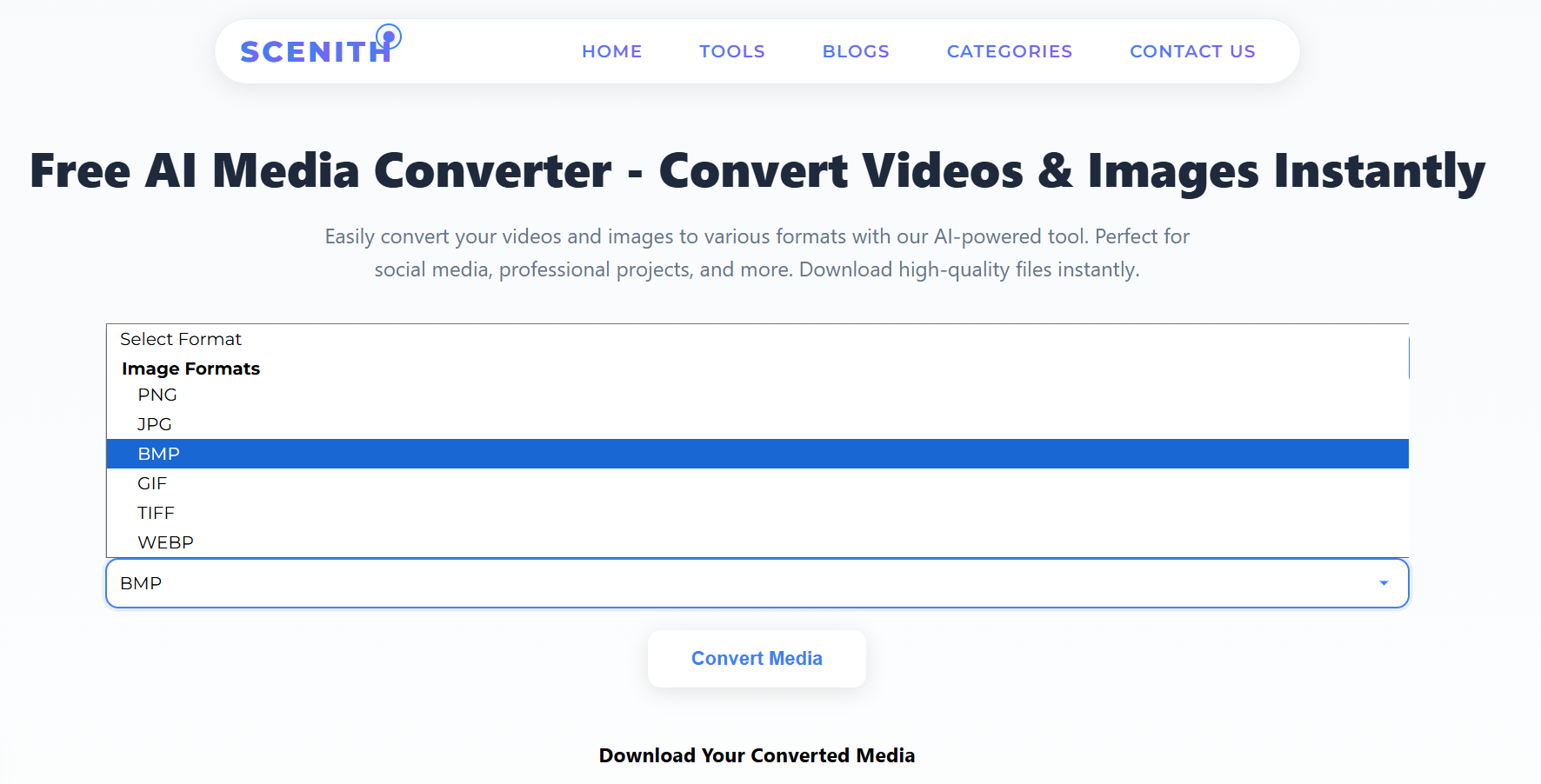 Media converter example showing format selection